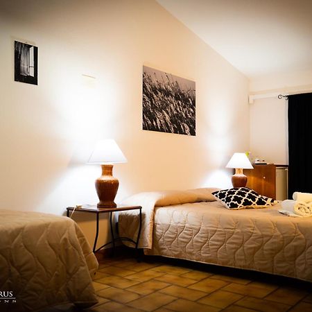 מוראברה Murahera Guest House מראה חיצוני תמונה